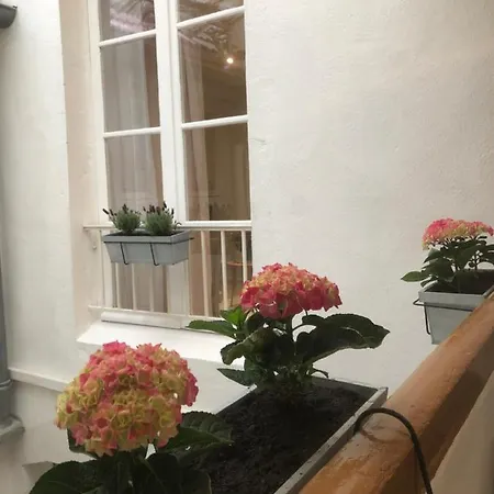 Apartamento ô’hospices : Coeur De *