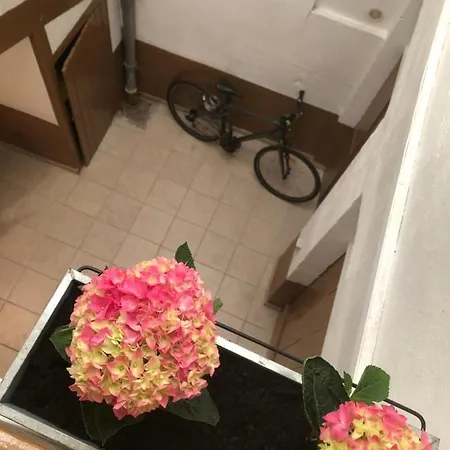 O'hospices : Coeur De Daire *