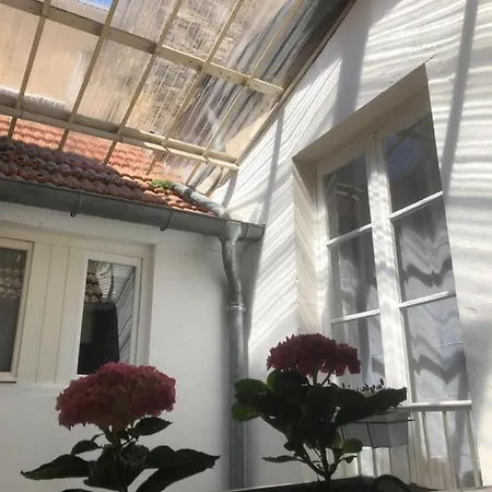 Daire O'hospices : Coeur De *