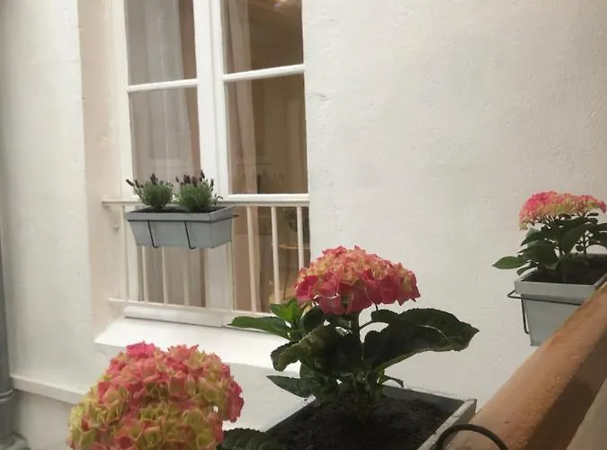 Apartamento ô’hospices : Coeur De *