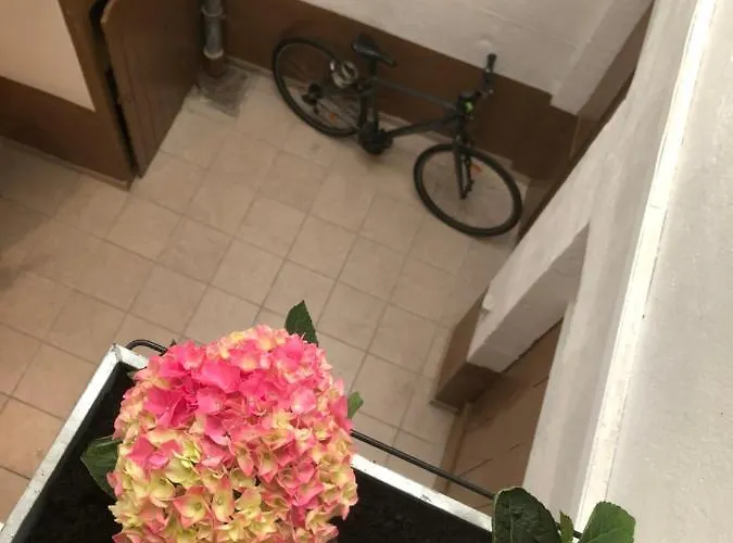 ô’hospices : Coeur De Apartamento *